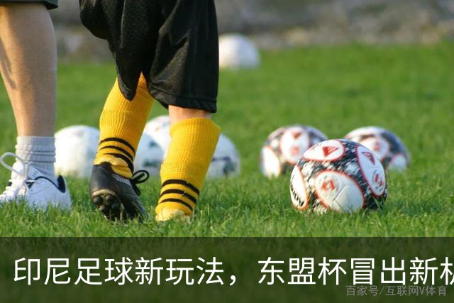 印尼足球新玩法，东盟杯冒出新机会，中国队该不该参与？